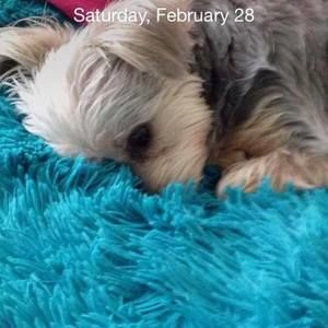 Meet your Posher, Olivia